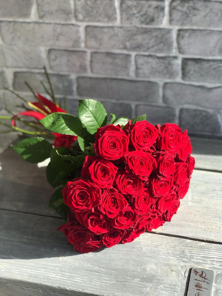 Букет Красные розы Фридом в Чаадаевке