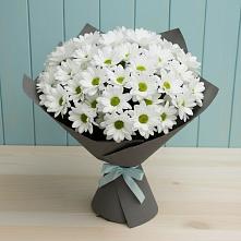 Букет цветов из:  Хризантемы #REPLACE_PRED# Чаадаевке