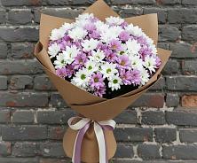 Букет цветов из:  Хризантемы #REPLACE_PRED# Чаадаевке