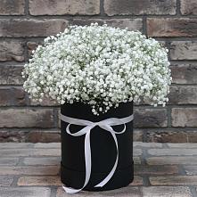 Цветочная композиция из Гипсофила в шляпной коробке в Чаадаевке