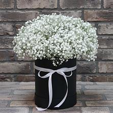Цветочная композиция из Гипсофила в шляпной коробке в Чаадаевке